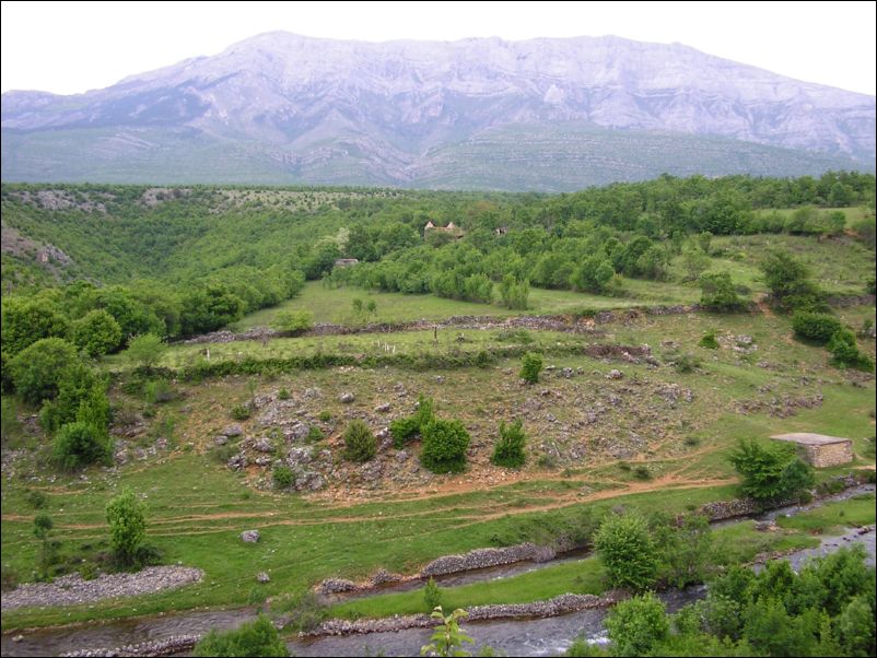 Krcic (31)